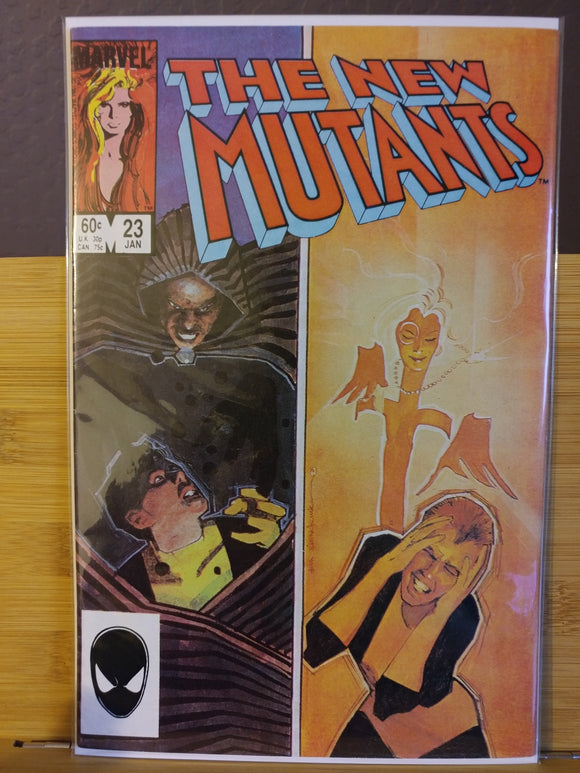 The New Mutants Issue #23