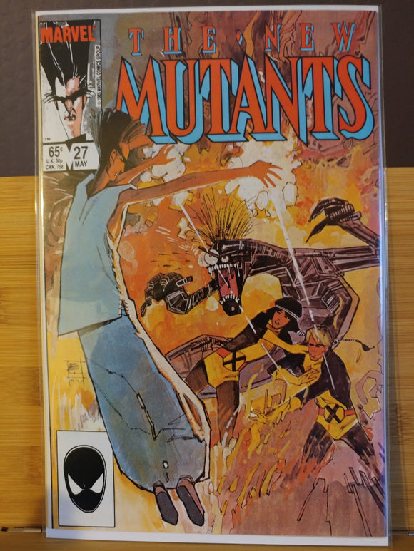 The New Mutants Issue #27
